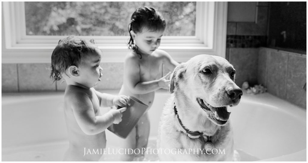 dog bath, children washing dog, children in bathtub with dog, blonde lab, real life photo, family photographer, lifestyle photography