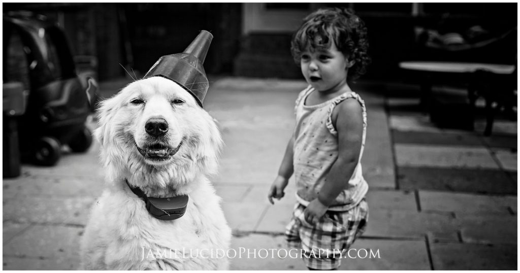 great Pyrenees, playful photography, girl and dog, documentary photography 