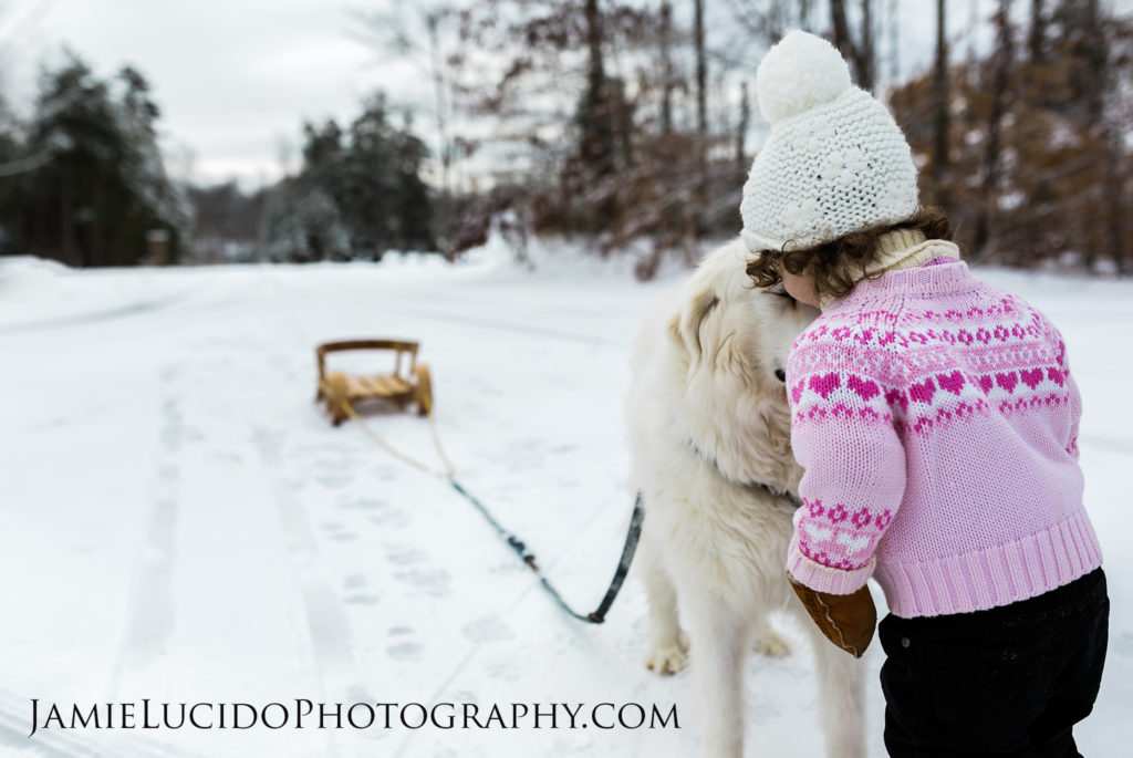 family photographer, girl with dog, great pyrenees