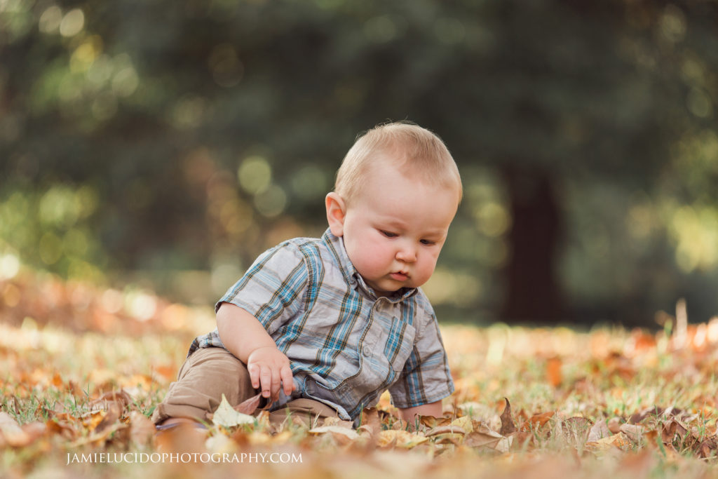 one year old portrait, portrait in leaves, fall photographer, fall photography, children's photographer, family portraits