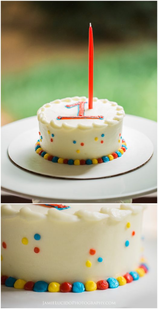 birthday cake, first birthday, wow factor cakes, charlotte photographer, charlotte documentary photographer