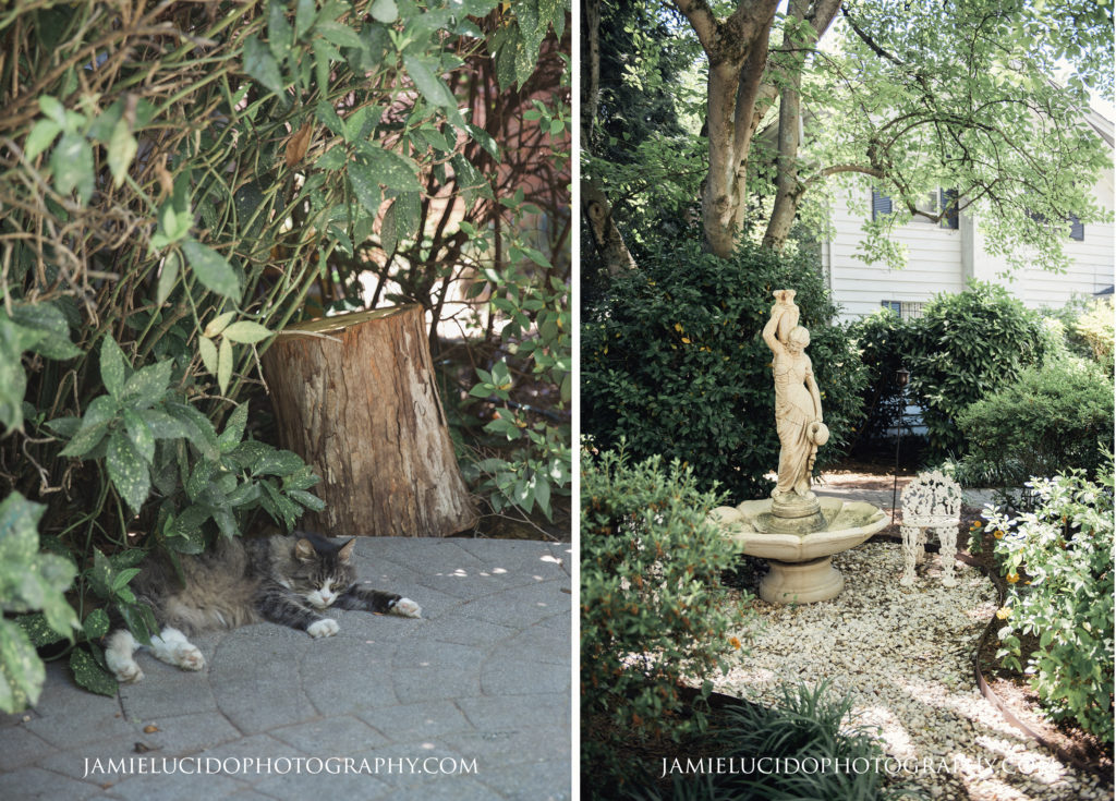 cat and statue at Morehead Inn