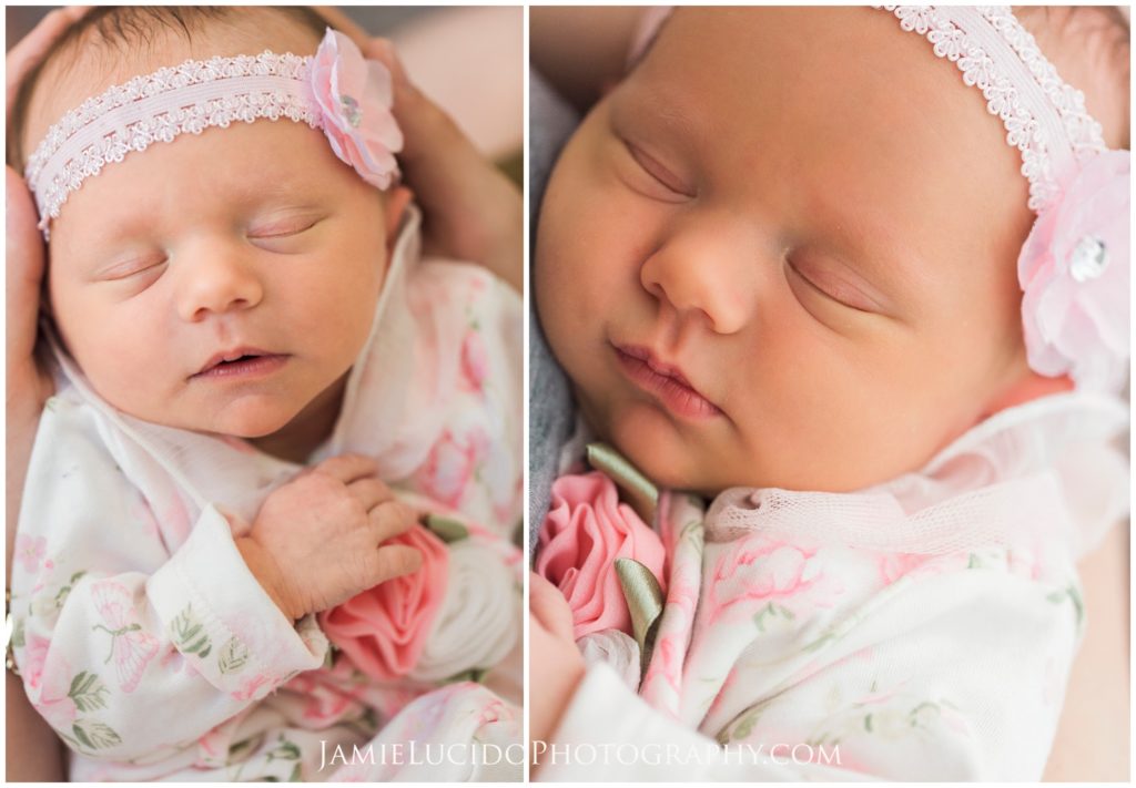newborn portrait, baby girl portrait, lifestyle portrait, family photographer