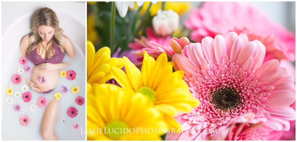 milk bath flowers, gerbera daisy, milk bath, family photographer
