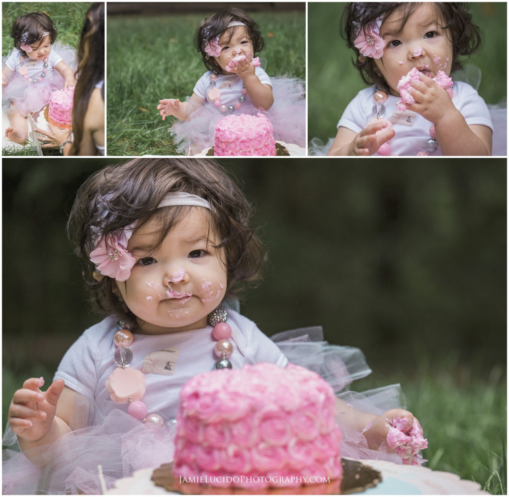 The Sweetest Baby Girl  First Birthday Cake Smash in Charlotte Area