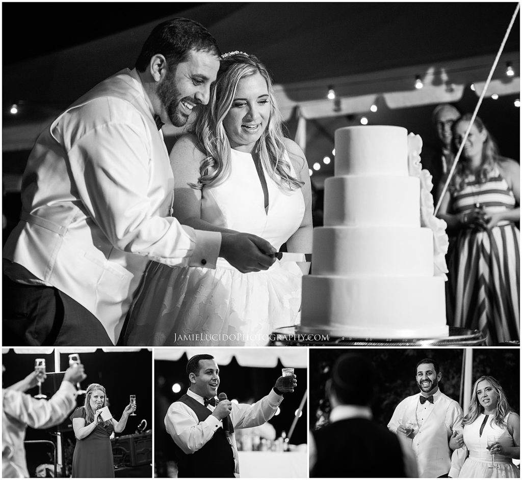 cake cutting, cut the cake, reception toasts, wedding day, wedding documentary, documentary photography
