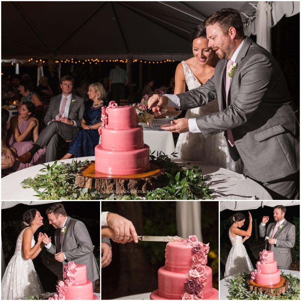 pink cake, pink wedding cake, cut the cake, cake cutting