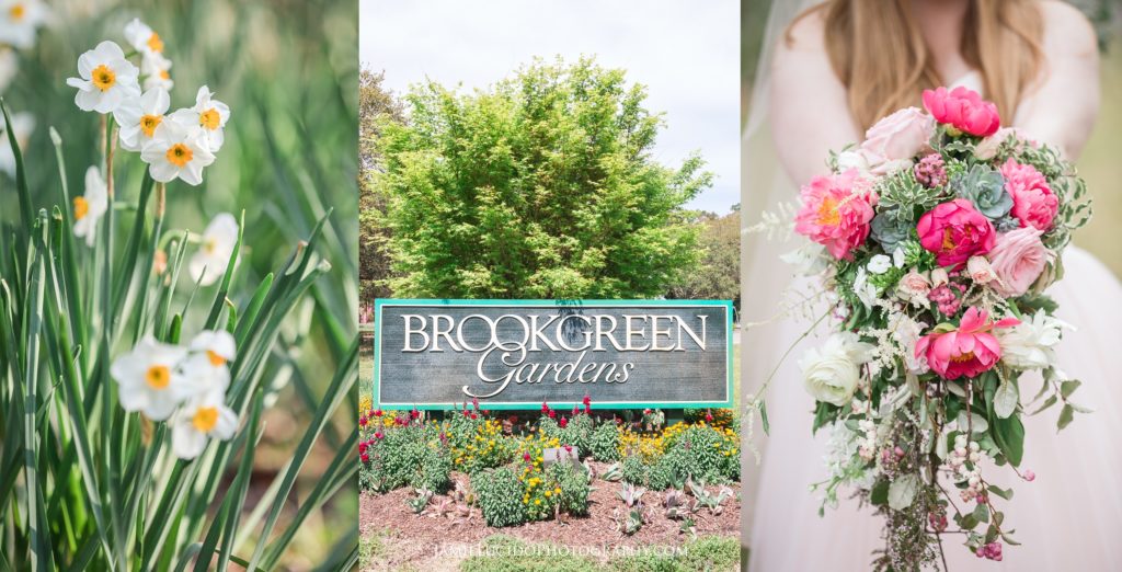 brookgreen garden details, flowers