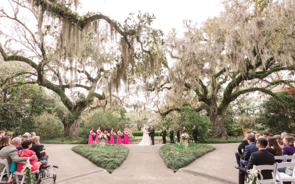 wedding ceremony at brookgreen garden, live oak allee wedding, wedding photographer