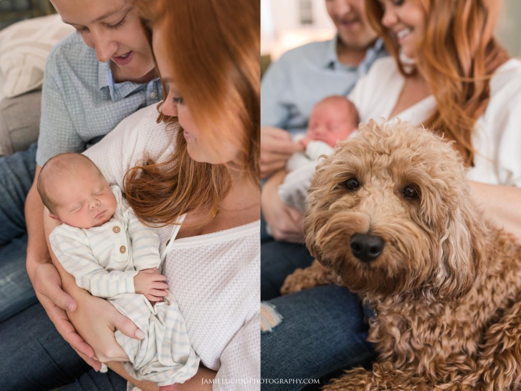 lifestyle at home session, newborn lifestyle, newborn photography, lifestyle photography, goldendoodle