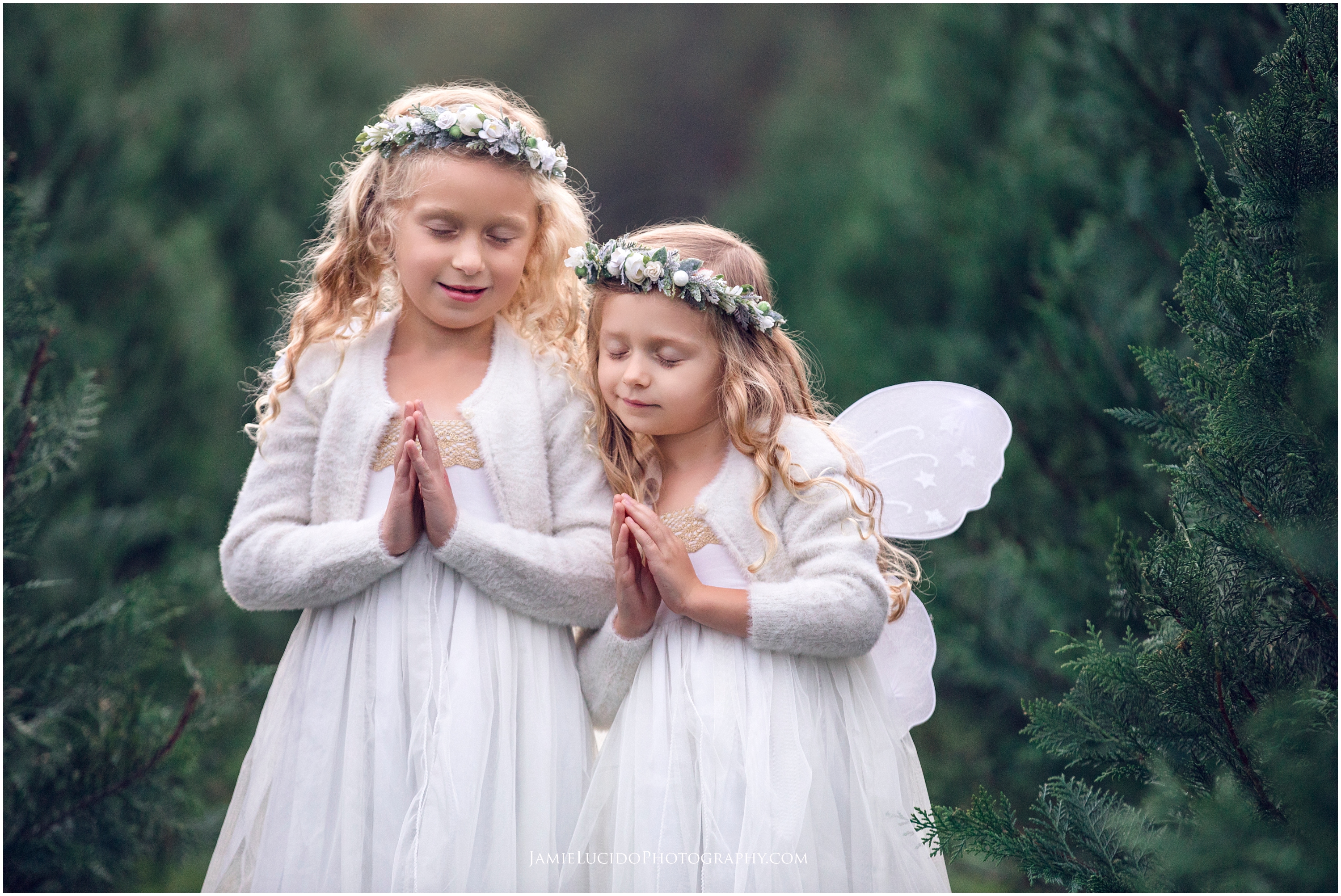 holiday photo idea, winter portrait, angels for christmas, children's photographer, styled photography, well dressed wolf, children's portrait, charlotte photographer, family photographer near me