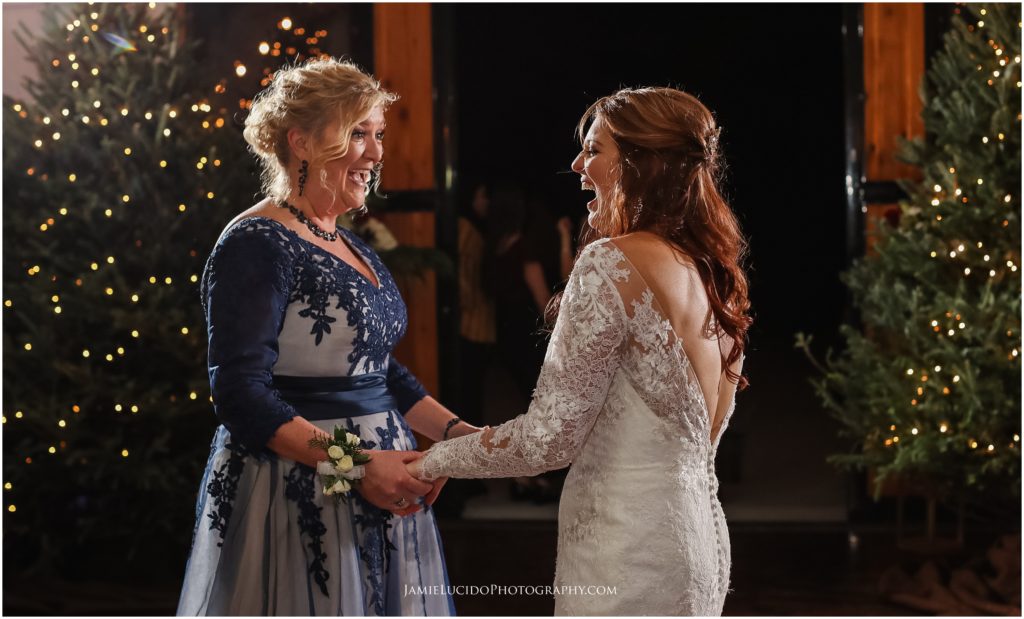 wedding reception, mother of the bride, wedding moments, wedding photography