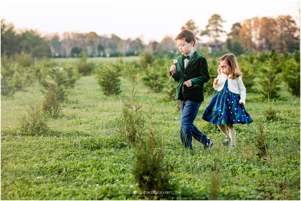 tree farm photos, holiday photos, family photography, charlotte family photographer