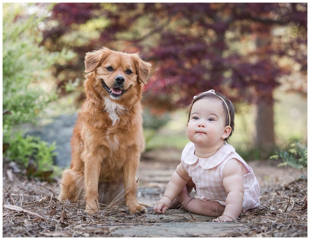 baby and dog, dog friendly photographer